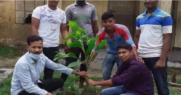 গাবতলীতে বৃক্ষ রোপন করলেন ছাত্রলীগ নেতা পান্না গাবতলীতে বৃক্ষ রোপন করলেন ছাত্রলীগ নেতা পান্না