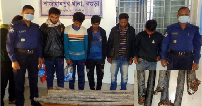 বগুড়ায় ভূগর্ভস্থ টেলিফোন ক্যাবল চুরির সময় ৫ জন গ্রেফতার বগুড়ায় ভূগর্ভস্থ টেলিফোন ক্যাবল চুরির সময় ৫ জন গ্রেফতার