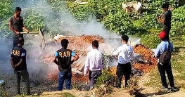 বগুড়ায় ৬০ বস্তা পচা খেজুর জব্দ, ২০ হাজার টাকা জরিমানা বগুড়ায় ৬০ বস্তা পচা খেজুর জব্দ, ২০ হাজার টাকা জরিমানা
