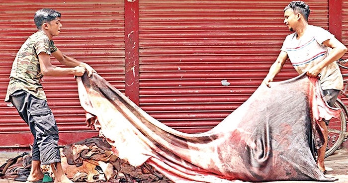 চামড়া কিনতে অগ্রাধিকার ভিত্তিতে ঋণ দিতে ব্যাংকের নির্দেশ চামড়া কিনতে অগ্রাধিকার ভিত্তিতে ঋণ দিতে ব্যাংকের নির্দেশ