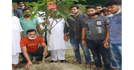 নন্দীগ্রামে আ’লীগের বৃক্ষরোপণ নন্দীগ্রামে আ’লীগের বৃক্ষরোপণ
