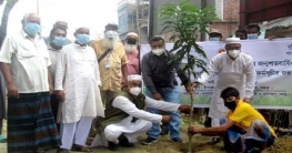 মুজিববর্ষ উপলক্ষে দুপচাঁচিয়ায় বৃক্ষরোপন কর্মসূচীর উদ্বোধন মুজিববর্ষ উপলক্ষে দুপচাঁচিয়ায় বৃক্ষরোপন কর্মসূচীর উদ্বোধন
