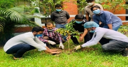 যুবলীগের দেশব্যাপী বৃক্ষরোপণ কর্মসূচি যুবলীগের দেশব্যাপী বৃক্ষরোপণ কর্মসূচি
