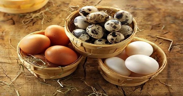 কোন ডিমের কি উপকারিতা কোন ডিমের কি উপকারিতা