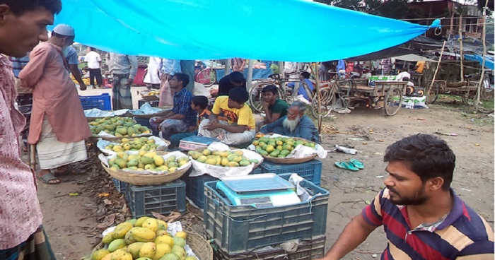 মধুমাসে বগুড়ার নন্দীগ্রামে রসালো ফলের সমাহার