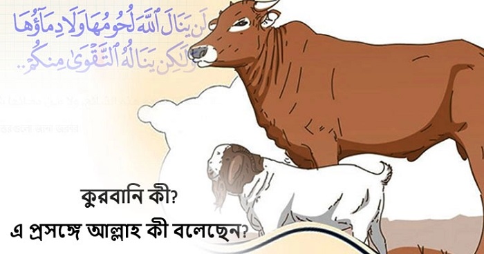 কুরবানি করার আগে যে বিষয়টি জানা জরুরি কুরবানি করার আগে যে বিষয়টি জানা জরুরি