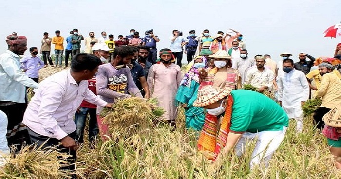 শেখ হাসিনার নির্দেশে সারাদেশে কৃষকের পাশে কৃষকলীগ