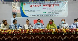 কৃষিকে আধুনিকায়নে কাজ করছেন প্রধানমন্ত্রী- কৃষিমন্ত্রী কৃষিকে আধুনিকায়নে কাজ করছেন প্রধানমন্ত্রী- কৃষিমন্ত্রী