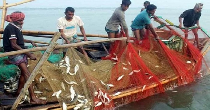 ১৪ অক্টোবর থেকে ৪ নভেম্বর ইলিশ ধরা নিষিদ্ধ