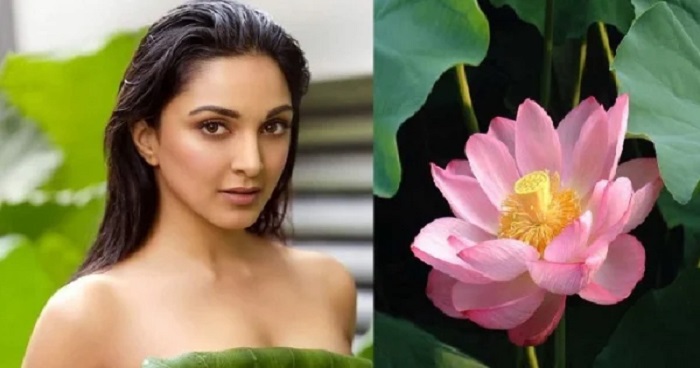 ত্বকের যত্নে অব্যর্থ দাওয়াই পদ্ম ত্বকের যত্নে অব্যর্থ দাওয়াই পদ্ম