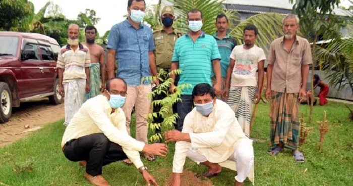 বগুড়া সদরে ৩শত বিভিন্ন প্রজাতির বৃক্ষ রোপন