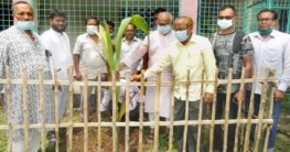 গাবতলী পাইলট উচ্চ বিদ্যালয়ে বৃক্ষরোপন গাবতলী পাইলট উচ্চ বিদ্যালয়ে বৃক্ষরোপন