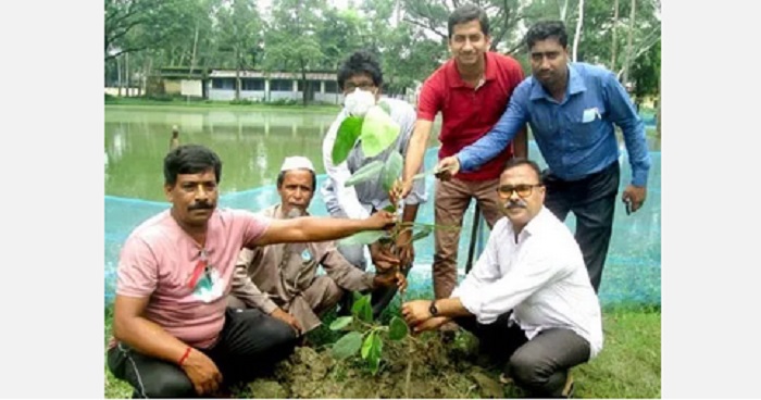 দুপচাঁচিয়া সরকারি পাইলট মডেল উচ্চ বিদ্যালয়ে বৃক্ষের চারা রোপণ