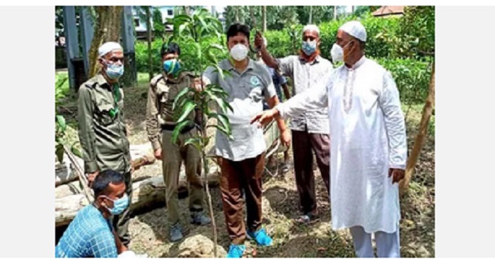 বগুড়ায় বিভাগীয় বনকর্মকর্তার দুপচাঁচিয়া ও কাহালু বনবিভাগ পরিদর্শন