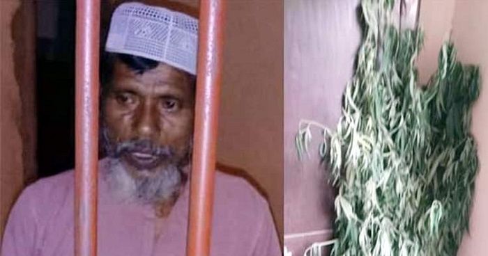 আদমদীঘিতে ২০টি গাঁজার গাছসহ এক ব্যক্তি গ্রেফতার আদমদীঘিতে ২০টি গাঁজার গাছসহ এক ব্যক্তি গ্রেফতার