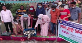 সারিয়াকান্দিতে বাঙ্গালী নদীতে পোনা মাছ অবমুক্ত সারিয়াকান্দিতে বাঙ্গালী নদীতে পোনা মাছ অবমুক্ত