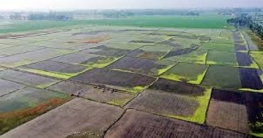 বগুড়ায় দৃশ্যমান হচ্ছে ‘শস্যচিত্রে বঙ্গবন্ধু’ বগুড়ায় দৃশ্যমান হচ্ছে ‘শস্যচিত্রে বঙ্গবন্ধু’