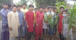 মুজিব বর্ষের আহবান তিনটি করে গাছ লাগান মুজিব বর্ষের আহবান তিনটি করে গাছ লাগান