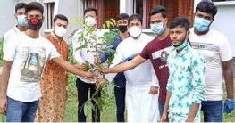 কাহালু উপজেলা ছাত্রলীগের পক্ষ হতে বৃক্ষরোপন কাহালু উপজেলা ছাত্রলীগের পক্ষ হতে বৃক্ষরোপন