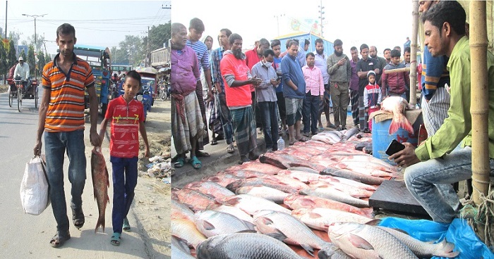 দুপচাঁচিয়ায় নবান্নের মাছের মেলা