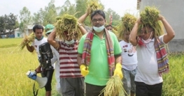 নন্দীগ্রামে কৃষকের মাঠে কেন্দ্রীয় আ.লীগ নেতা সফিক নন্দীগ্রামে কৃষকের মাঠে কেন্দ্রীয় আ.লীগ নেতা সফিক