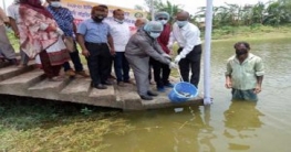 সোনাতলায় উন্মুক্ত জলাশয়ে মাছ অবমুক্তকরণ অনুষ্ঠিত সোনাতলায় উন্মুক্ত জলাশয়ে মাছ অবমুক্তকরণ অনুষ্ঠিত