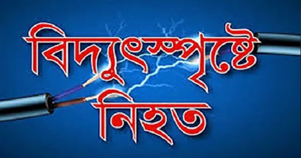 বগুড়ায়  মন্ডপের বিদ্যুৎসংযোগ  বিচ্ছিন্ন করতে গিয়ে ১জনের মৃত্যু