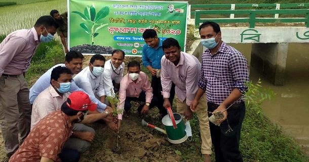 শেরপুরে সহস্রাধিক গাছের চারা রোপন  করলো রুপালী ব্যাংক ও বিএডিসি