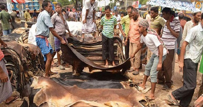 ভারতে চামড়া পাচার রোধে যশোর সীমান্তে সর্বোচ্চ সতর্কতা