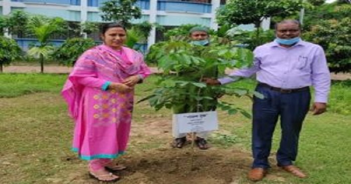 সৈয়দ আহম্মদ কলেজে বিরল প্রজাতির ২টি পারুল গাছের চারা রোপন