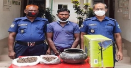 বগুড়ায় মাটির পাতিলে মিলল গাঁজা, আটক ১ বগুড়ায় মাটির পাতিলে মিলল গাঁজা, আটক ১