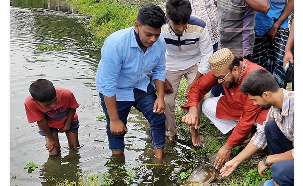 বগুড়ায় সুন্ধি কাছিম উদ্ধারের পর অবমুক্ত করল তীর