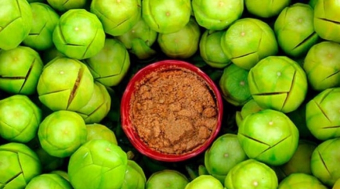 ক্যালসিয়ামের ঘাটতি দূর করে আমড়া ক্যালসিয়ামের ঘাটতি দূর করে আমড়া