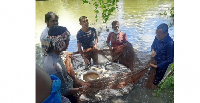 বগুড়ায় ভ্রাম্যমাণ আদালতের অভিযানঃসরকারি ৩পুকুরের ৮৮ কেজি মাছ জব্দ