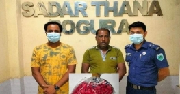 বগুড়ায় ইয়াবাসহ গ্রেফতার ১ বগুড়ায় ইয়াবাসহ গ্রেফতার ১