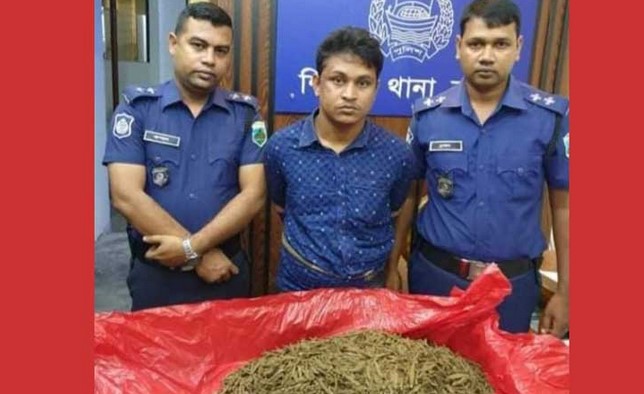 শিবগঞ্জের মোকামতলায় ৫কেজি গাঁজাসহ মাদক ব্যবসায়ী আটক শিবগঞ্জের মোকামতলায় ৫কেজি গাঁজাসহ মাদক ব্যবসায়ী আটক