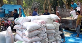 বগুড়ায় সরকারি চাল বোঝাই ট্রাক জব্দ বগুড়ায় সরকারি চাল বোঝাই ট্রাক জব্দ