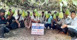 গাবতলীতে হাইব্রিড লাউ জেরিনের বাম্পার ফলন গাবতলীতে হাইব্রিড লাউ জেরিনের বাম্পার ফলন