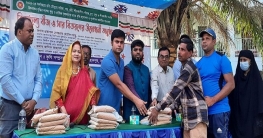 শাজাহানপুরে বিনামূল্যে বীজ ও সার পেল ৪ হাজার প্রান্তিক কৃষক শাজাহানপুরে বিনামূল্যে বীজ ও সার পেল ৪ হাজার প্রান্তিক কৃষক