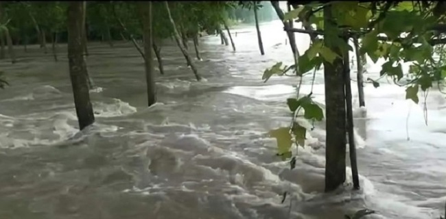 বগুড়াতে বন্যায় ২৬ টি শিক্ষা প্রতিষ্ঠান প্লাবিত