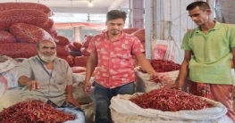 মরিচে ভাগ্য বদল, বগুড়ার চাঁনের মাসে আয় দেড় লাখ মরিচে ভাগ্য বদল, বগুড়ার চাঁনের মাসে আয় দেড় লাখ