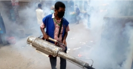 ডেঙ্গুতে নতুন রোগী নেই
