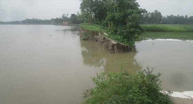 বগুড়ায় যমুনার ও বাঙ্গালী পানি বৃদ্ধি অব্যাহত, নদী ভাঙ্গন শুরু