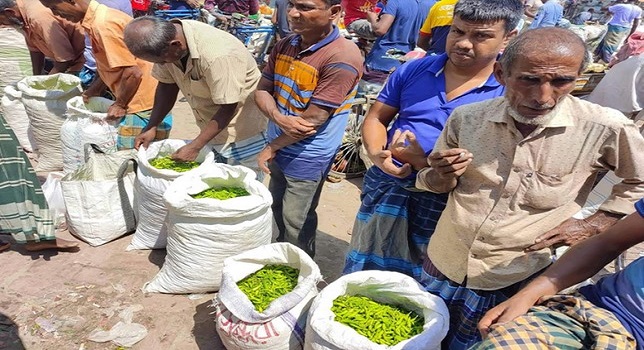 মহাস্থান হাটে কাঁচা মরিচের পর্যাপ্ত আমদানি, স্বস্তিতে ক্রেতারা