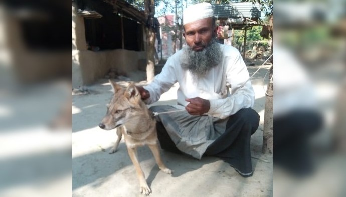 ভালোবাসা দিয়ে শিয়ালকে পোষ মানালেন শাহাদত