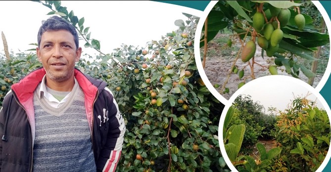 মোশারফের ২ বছরের পরিশ্রমে মাসে ১৮ লাখ টাকার ফল বিক্রি মোশারফের ২ বছরের পরিশ্রমে মাসে ১৮ লাখ টাকার ফল বিক্রি