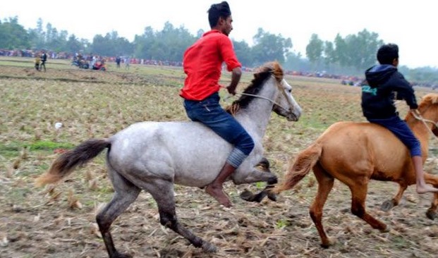 বগুড়ায় হয়ে গেল দিনব্যাপী ঘোড় দৌড় প্রতিযোগিতা