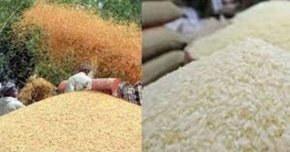 বগুড়ায় বোরো ধান-চাল সংগ্রহ করবে খাদ্য বিভাগ বগুড়ায় বোরো ধান-চাল সংগ্রহ করবে খাদ্য বিভাগ