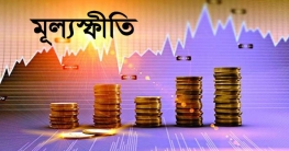 নভেম্বরে মূল্যস্ফীতি কমেছে