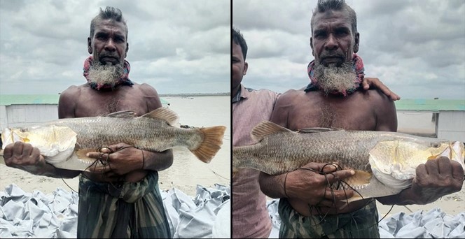 কপোতাক্ষ নদে বড়শিতে ধরা পড়লো ৮ কেজির ভেটকি